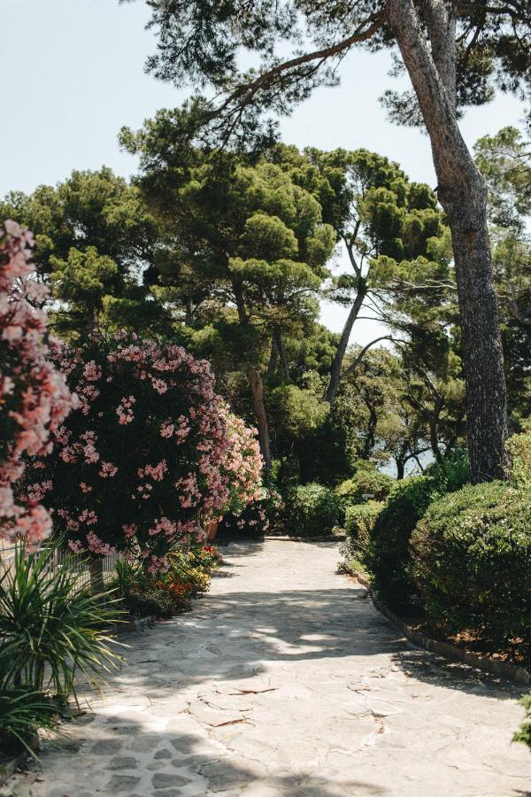 Hotel Provencal Hyères Eksteriør billede